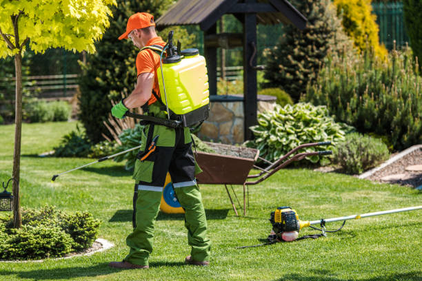 Best Fumigation Services  in Gordon, PA